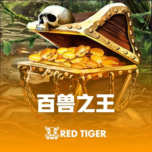 早日康复☘️祝凯尔特人球星塔图姆28岁生日快乐！🎂