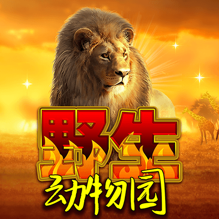 竞争白热化！火箭西部第3领先森林狼0.5个胜场 领先掘金1.5个胜场